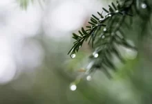 Дожди и грозы пройдут в Казахстане 26 апреля