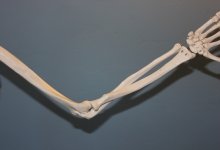 Скелет человека в мешке нашли в Экибастузе