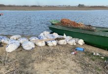 Подозреваемых в незаконной перевозке более тонны рыбы задержали в Атырау