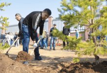 Мы должны формировать экологическую культуру – Елнур Бейсенбаев