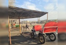 Конь испугался воздушных шаров и травмировал семью в карагандинском зоопарке