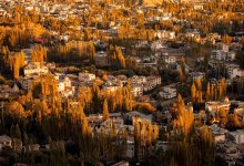 11 человек погибли в результате утечки газа в Индии