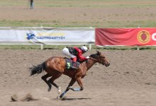 В Алматинской области стартовал турнир Qazaq WORLD CUP по гладким скачкам