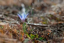 Дождливо будет в Казахстане 2 мая