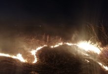 Добровольцы помогли спасателям потушить пожар рядом с Аксу