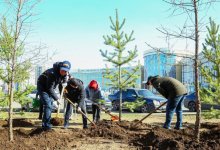 От экоакции до международного челленджа: как реализуется проект ТазаLike