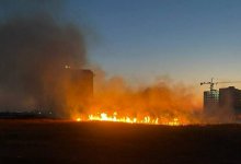 Сухостой загорелся возле жилого комплекса в Астане