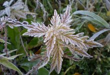 Заморозки и сильный ветер: штормовое предупреждение объявили в Казахстане