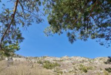 Погоду без осадков обещают Казахстану 5 мая