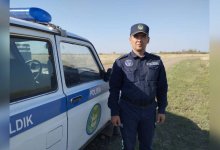 Пятилетний мальчик заблудился в лесополосе и вышел на оживленную трассу в СКО