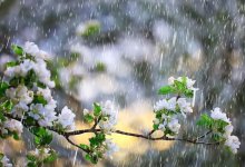 Дождь с грозой пройдет на большей части Казахстана 8 мая