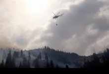 Травму получил еще один сотрудник ДЧС, тушивший пожар в горах Алматы