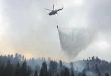 Спасатели локализовали природный пожар в окрестностях Алматы