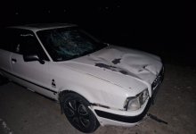 Автомобилист попал в ДТП с лошадьми на павлодарской трассе