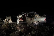 Человек погиб при столкновении автомашины с лошадью в Жетысуской области