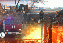 Бомжи, засуха или небрежность властей – кто виноват в пожаре в Петропавловске?