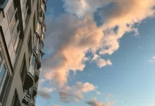 Павлодарец выкинул щенка из окна многоэтажки на глазах у детей