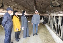 Проблемы крестьянских хозяйств взяли на контроль в партии AMANAT