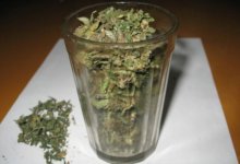 30 стаканов марихуаны купил на рабочем месте повар в Актобе