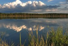 Более 42 кг рыбы выловили браконьеры из охраняемого озера в нацпарке "Бурабай"