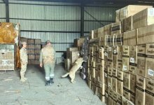 Сигареты на 50 млн тенге пытались контрабандой провезти в Казахстан