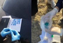 Полиция перекрыла канал поставки "синтетики" на территорию Акмолинской области