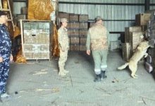 Контрабандные электронные сигареты на 2,5 млрд тенге пытались провезти в Казахстан