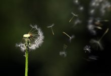 Усиление ветра и чрезвычайная пожарная опасность ожидаются в Казахстане 23 мая