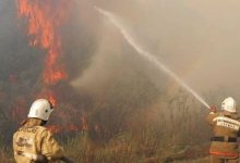 Пожарный поезд направили для тушения огня в Абайской области