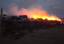 Загоревшиеся 150 тонн сена тушили всю ночь в селе Павлодарской области