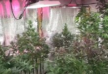 Подпольную нарколаборатию нашли на рыболовной станции под Астаной