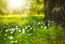 Ясная погода ожидается на большей части территории Казахстана