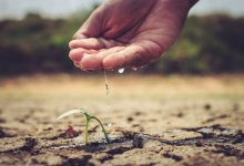 Бизнесмены обвинили в рейдерстве акимат Жамбылской области