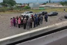 Полчища неизвестных насекомых напали на село в Жамбылской области