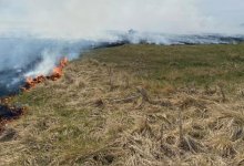 Пограничники спасли из пожара мужчину в СКО