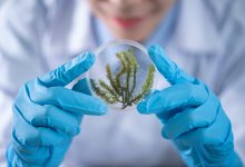 Названы регионы-лидеры по количеству научных исследователей в Казахстане