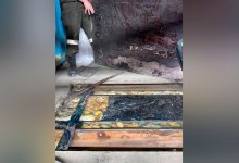 Две попытки провоза крупных партий наркотиков пресекли на границе Казахстана