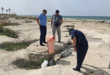Мертвого тюленя в луже крови обнаружили на берегу Каспия