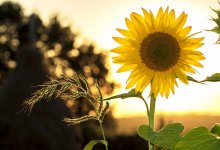 Штормовое предупреждение объявили в 16 областях Казахстана