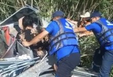 Женщина пострадала из-за столкновения моторной лодки с зарослями в Аксу