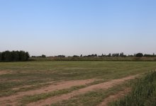 200 тысяч га земель планируется вернуть государству в Кызылординской области