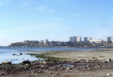 ЧС из-за обмеления Каспия объявили в Актау