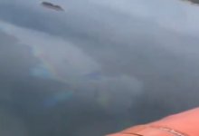 Нефтяное пятно обнаружили на Бухтарминском водохранилище (ВИДЕО)