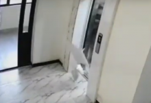 Облицовка лифта едва не упала на детей в ЖК Астаны (ВИДЕО)