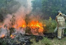 Пожар в области Абай: три работника лесничества погибли