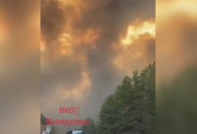 Видео с пожаром в Бородулихинском районе назвали фейком в областном акимате