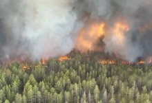 Пожар в Абайской области: президент дал поручение правительству