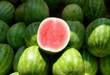 Нитраты обнаружили во фруктах и ягодах на рынках Алматы