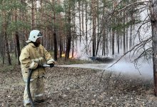 Обстановка стабилизировалась – МЧС о пожаре в области Абай