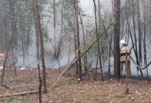 Пожар распространяется по трем направлениям к населенным пунктам в области Абай